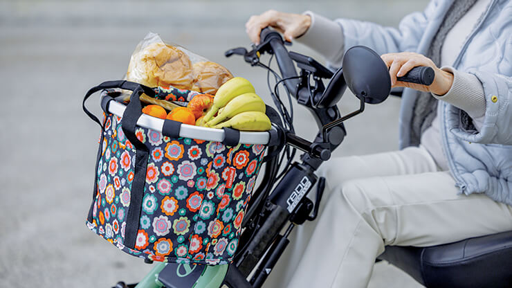 Panier en toile*